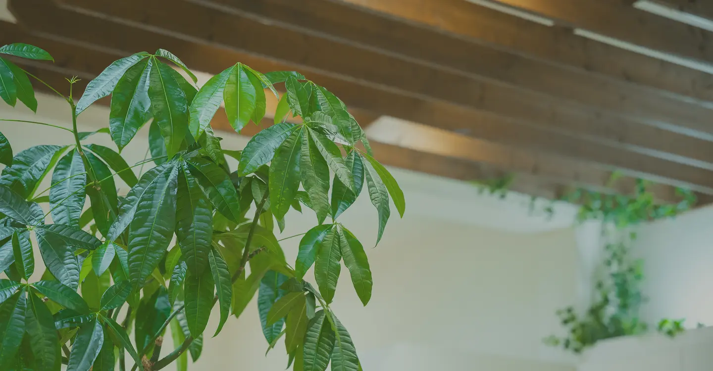 横代店のInstagramリンク用背景写真