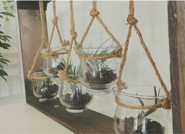 麻ひもで吊るされたガラス容器に入った観葉植物のインテリア装飾